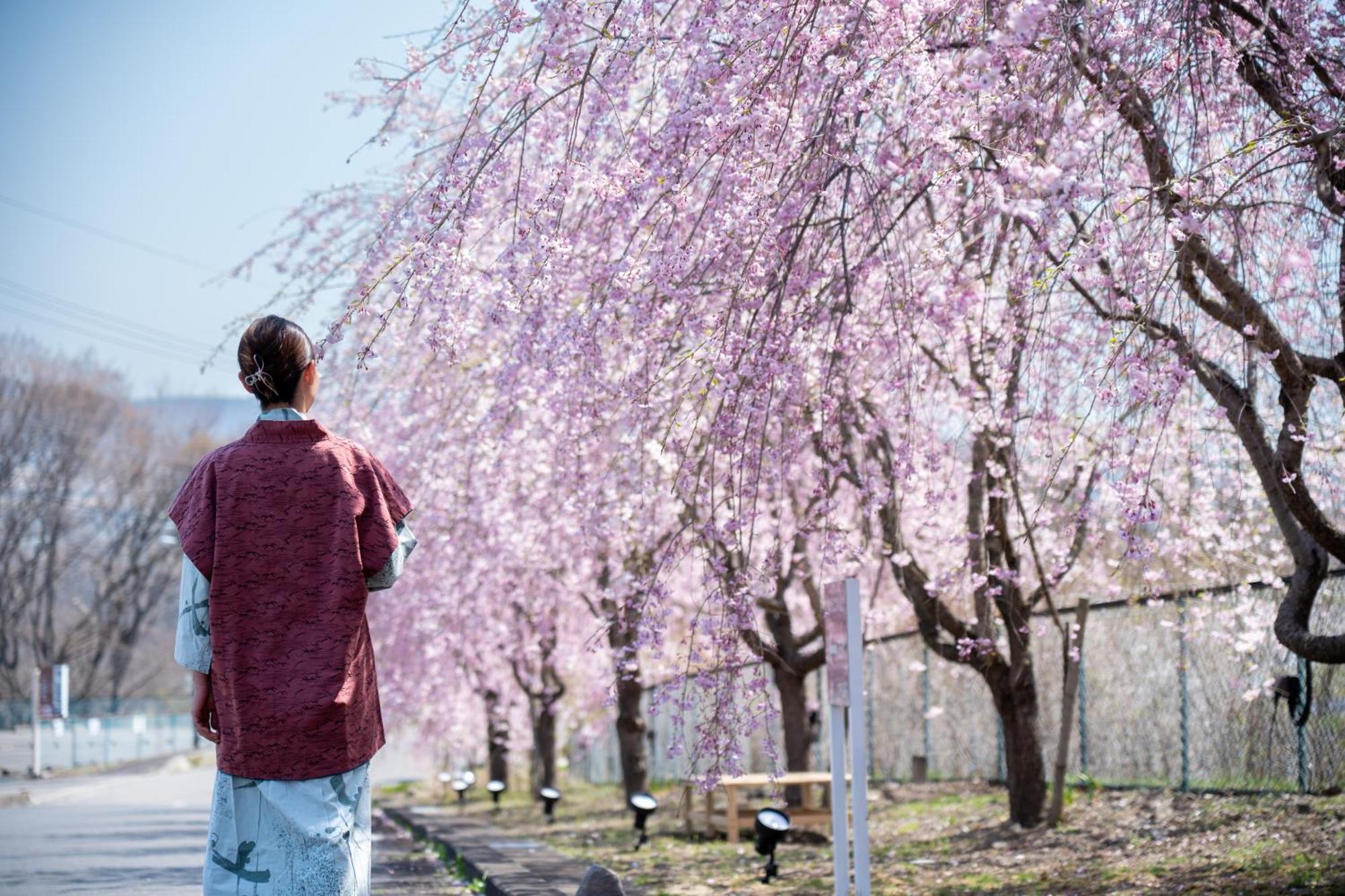 Nunohiki Onsen Komoro Ngoại thất bức ảnh