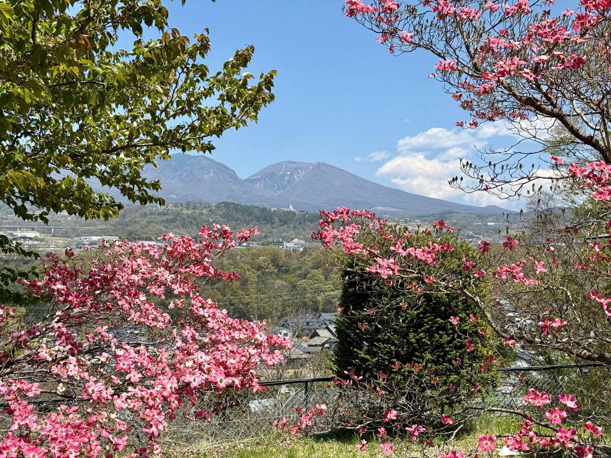 Nunohiki Onsen Komoro Ngoại thất bức ảnh